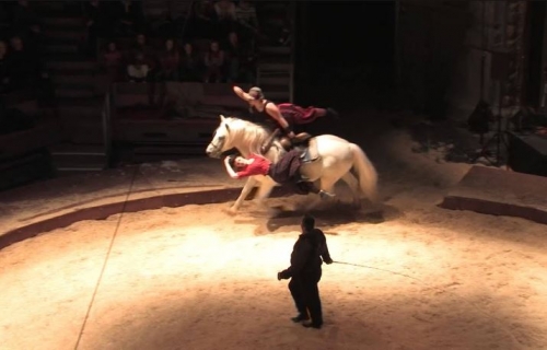 Cirque Pagnozoo