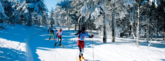 Coupe du monde de ski nordique