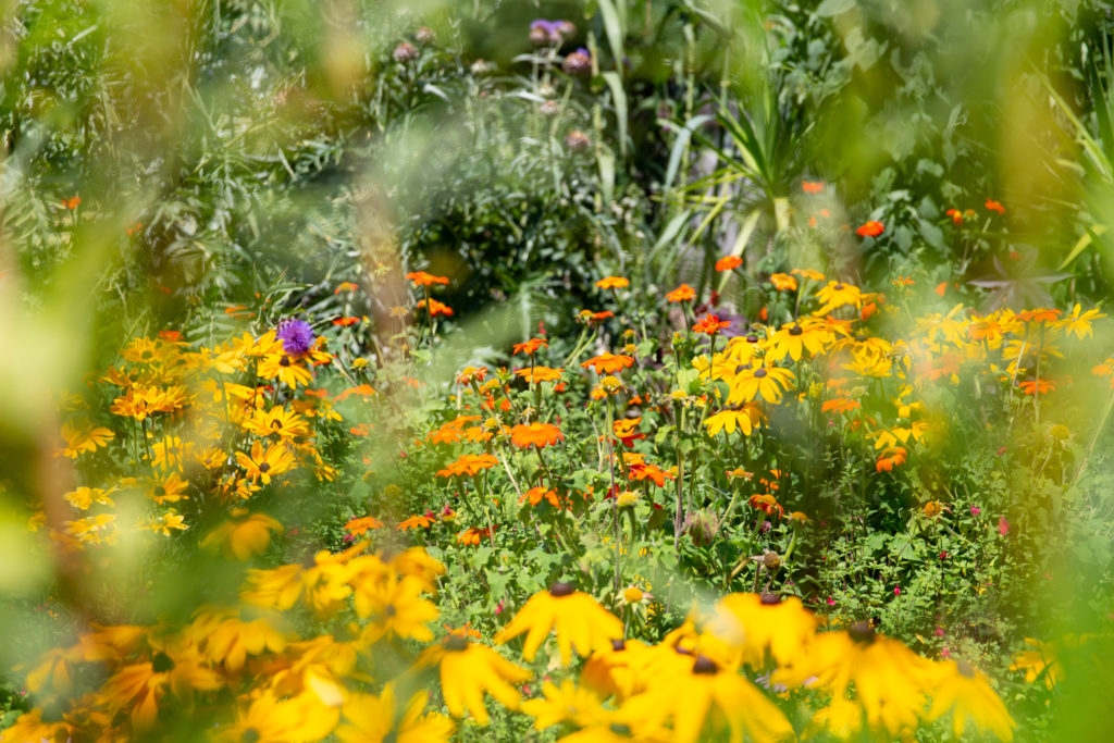 Festival des jardins