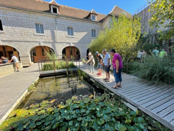 À la rencontre de la vie sauvage de la Citadelle