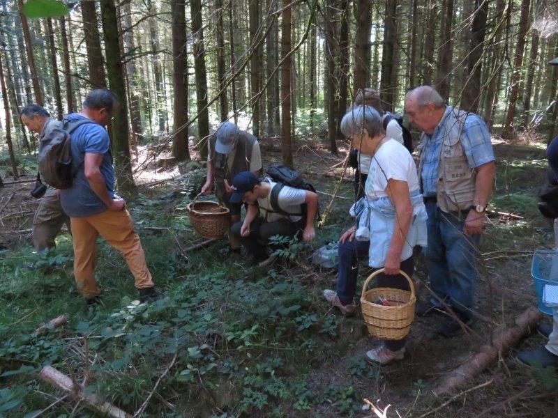 Ateliers d'initiation à la mycologie