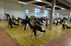 Stage de Qi Gong pour la santé