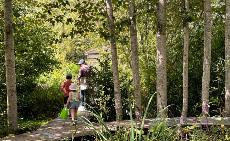 Festival des jardins – Ombre et fraîcheur