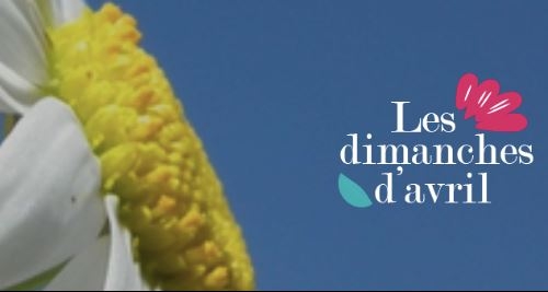 Les dimanches d'Avril