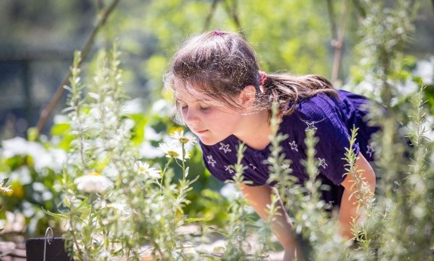 Les rendez-vous aux jardins