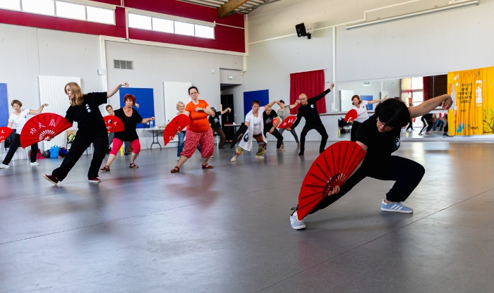 Tai Ji Gong Fu Shan avec éventail