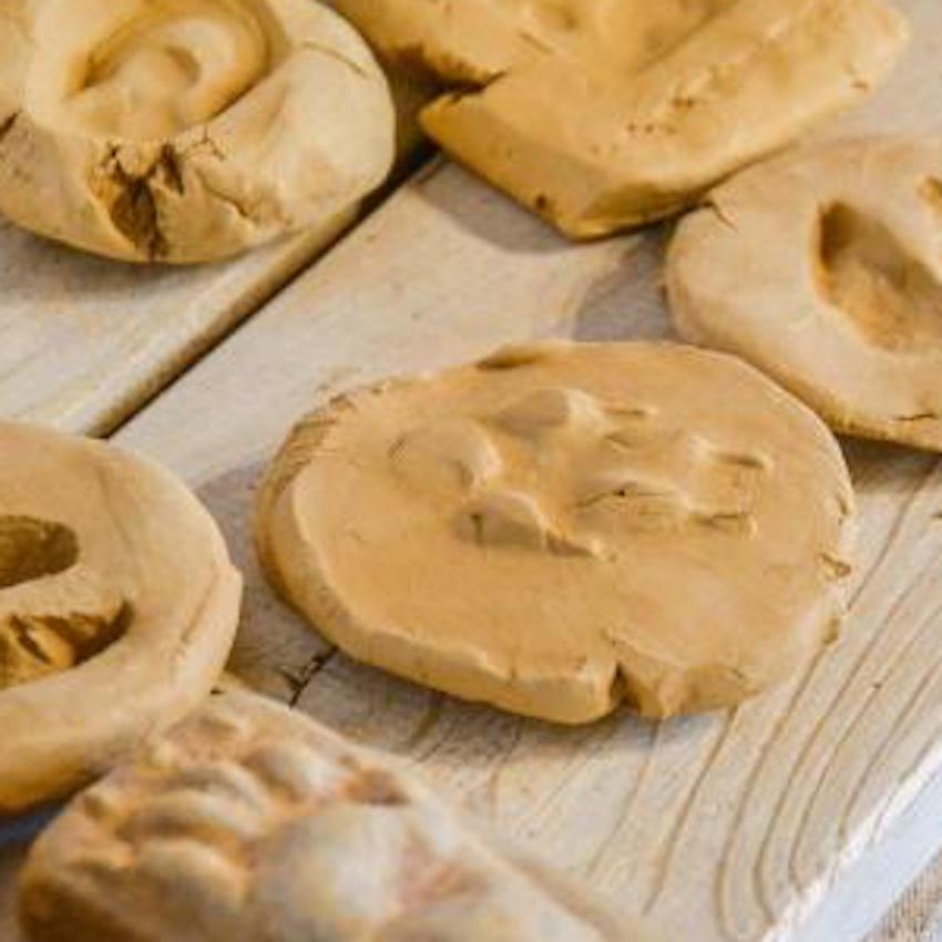 traces d'animaux en plâtre