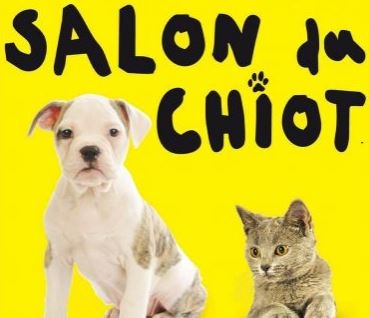 Salon du chiot