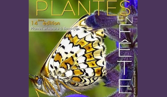 Plantes en fête