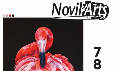 Novil'Arts