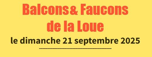 Faucons & Balcons de la Loue 2025