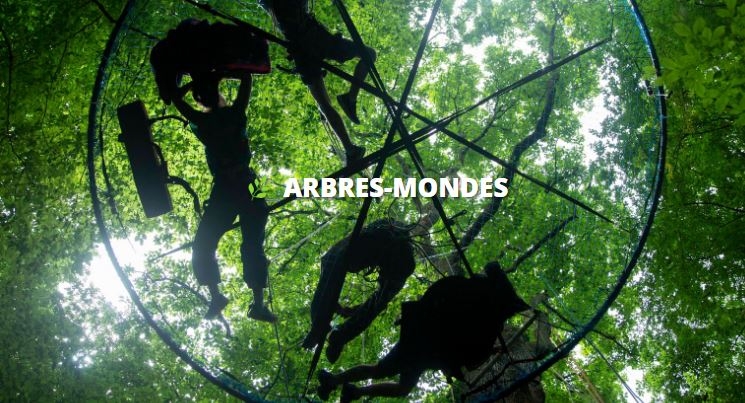Arbres Mondes : une expérience immersive en pleine nature