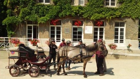 Animations aux Haras de Besançon