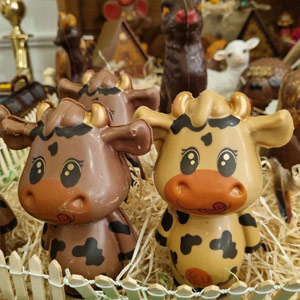 photo Glacier, Chocolatier Besançon-2
