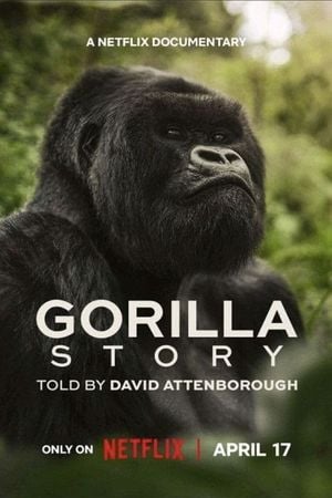 Une Histoire de Gorilles avec David Attenborough