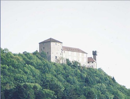 CHâTEAU DE CRESSIA