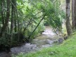 FORÊT DE SAINT-ANTOINE
