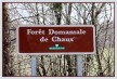 FORÊT DE CHAUX